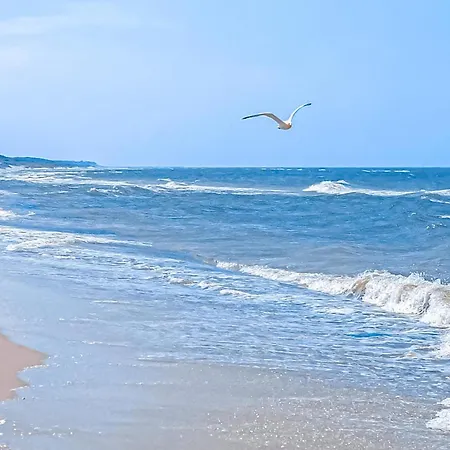 Dierhagen Neuhaus (Mecklenburg-Vorpommern)